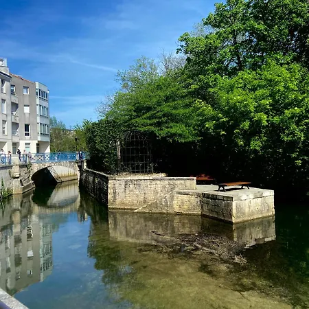 Bel Appartement, Oiseau 1 *