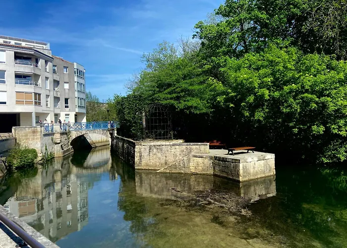 Bel Appartement, Oiseau 1 *