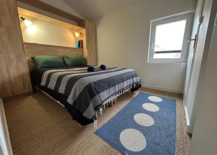 Bel Appartement, Oiseau 1 *