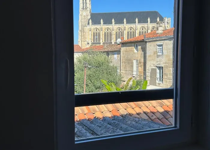 Bel Appartement, Oiseau 1